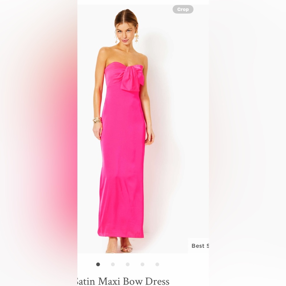 NWT Carlynn Satin Maxi Bow Dress size 12
I Missed my return window!